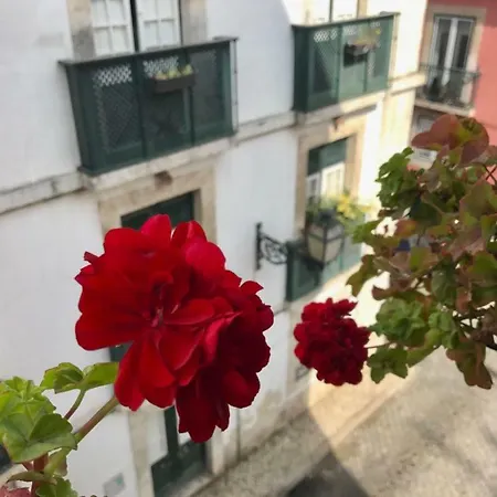 In The Heart Of